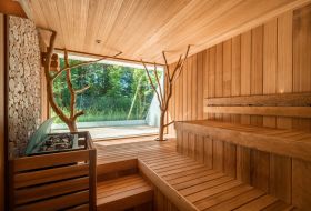 Alpha Wellness Sensations