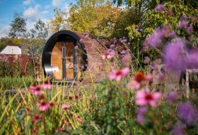 Alpha Wellness Sensations