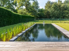 Geels Vijvertje Zone de plantes sans fin