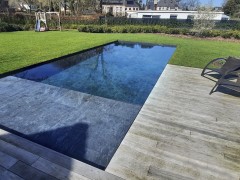 't Groene Plan Piscine biologique d’Hybrid Pools et jardin au charme élégant