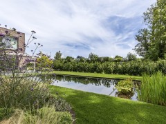 Cools Tuinaanleg bvba Étang sobre et végétation sympathique