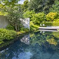 La biodiversité commence par une mare au jardin